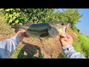 【真夏の柴山沼】キーは流れ【バス釣り】