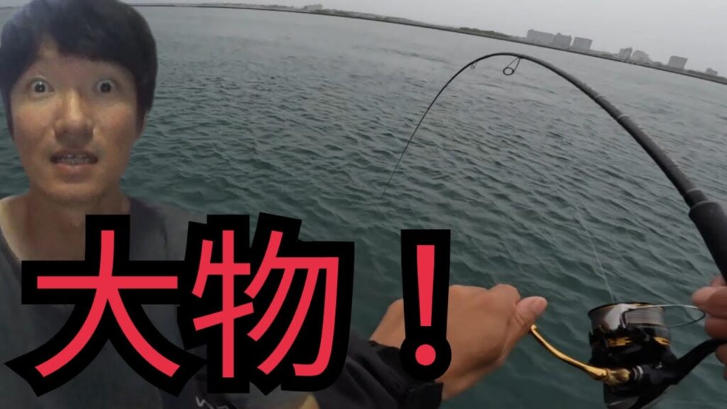 浜名湖海釣り公園へ
