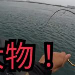 浜名湖海釣り公園へ