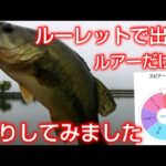 【近藤沼バス釣り】ルーレットで出たルアーで釣りしてみた。#バス釣り #釣り #近藤沼#スピナーベイト