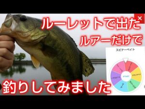 【近藤沼バス釣り】ルーレットで出たルアーで釣りしてみた。#バス釣り #釣り #近藤沼#スピナーベイト
