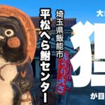 居酒屋的な管理釣り場 平松へら鮒センターでへらぶな釣り 埼玉県飯能市