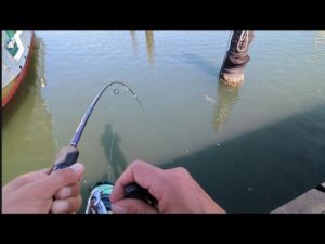 もう…無理…【本日浜名湖超最速釣り情報】📢