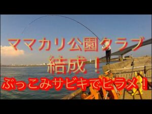 【浜名湖】 海釣り公園 会長はマゴチ、クエも釣るぞ サビキ 伝説のベイト ママカリ 泳がせ ぶっこみ