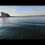 浜名湖白鱚釣りポイント【表浜名湖サクラマル】にて直近調査してみた。