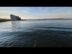 浜名湖白鱚釣りポイント【表浜名湖サクラマル】にて直近調査してみた。