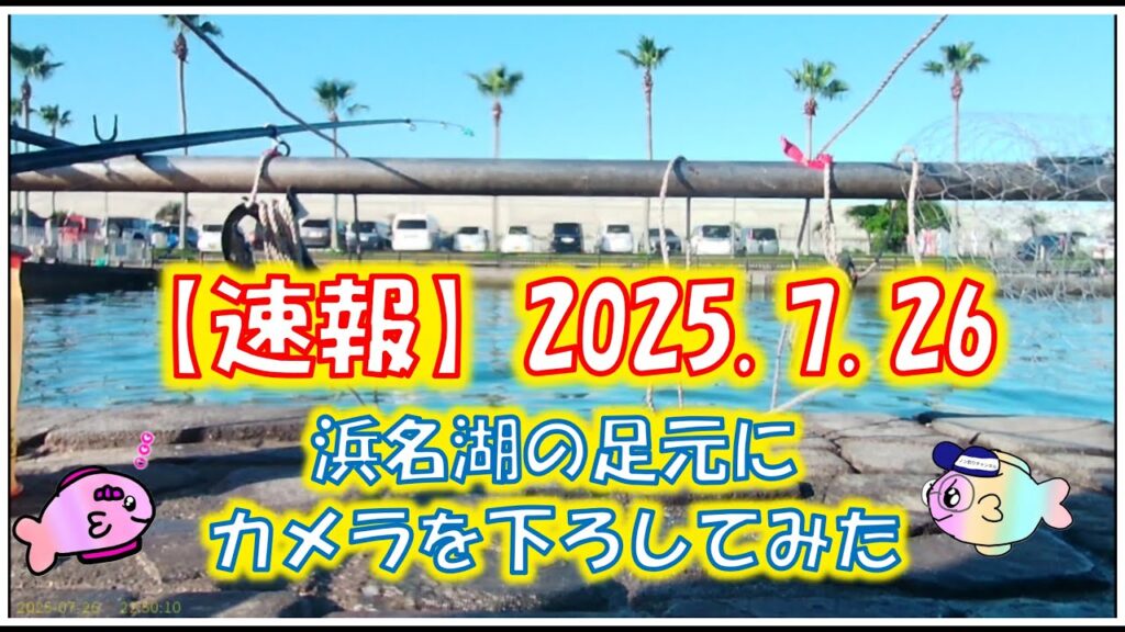 浜名湖　釣り　速報　カメラを下ろすと水中の変化がよくわかる