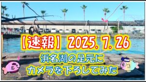 浜名湖　釣り　速報　カメラを下ろすと水中の変化がよくわかる