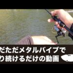 ただただメタルバイブで釣り続けるだけの動画  #管理釣り場 #エリアトラウト #礒野寛之