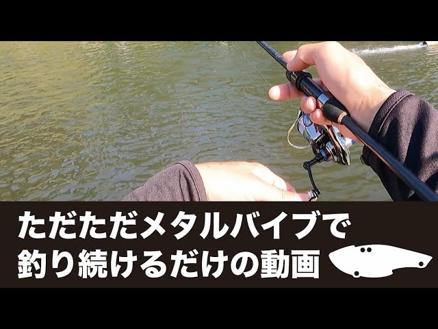 ただただメタルバイブで釣り続けるだけの動画  #管理釣り場 #エリアトラウト #礒野寛之