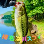 真夏の榛名湖バスフィッシング【#群馬 #榛名湖 #バスフィッシング #釣り 】