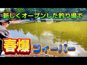 めちゃくちゃ楽しい管理釣り場が新潟県に出来たらしいので行ってみた。【エリアトラウト】
