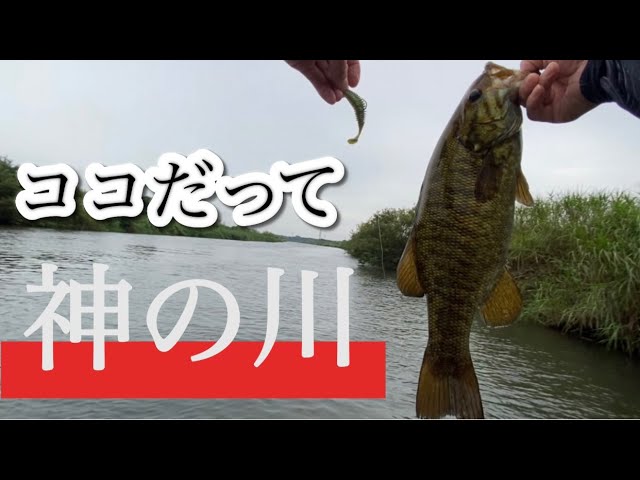 【小貝川】バイト多発!これだからやめられない スモールマウス
