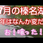 【榛名湖バス釣り】今年はなんだかギルが多く感じるのは私だけでしょうか？　#バス釣り #榛名湖