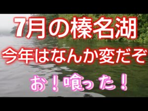 【榛名湖バス釣り】今年はなんだかギルが多く感じるのは私だけでしょうか? #バス釣り #榛名湖