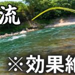 【渓流釣り】自己流提灯毛鉤仕掛けで本流魚を狙ってみたら効果絶大だったのだ!!｜簡単本流仕掛け／延べ竿でユーロニンフ