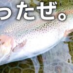 【初心者でもできる！】悶絶タイム攻略はこのルアーで！うらたんざわ渓流釣り場釣行後編【エリアトラウト　管理釣り場】