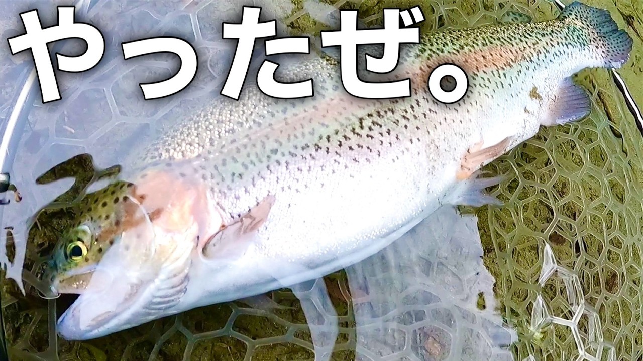 【初心者でもできる!】悶絶タイム攻略はこのルアーで!うらたんざわ渓流釣り場釣行後編【エリアトラウト 管理釣り場】