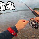 【浜名湖】夏休みなので混まないポイントでチニングしたら・・・