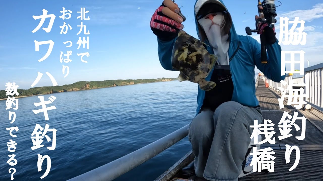 【脇田海釣り桟橋】カワハギシーズン開幕 短時間でも気軽に釣れる釣り公園【好きっちゃ釣行記】