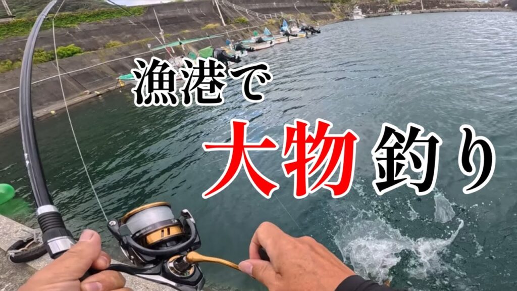 スーパーで買ったアサリで大物釣り！