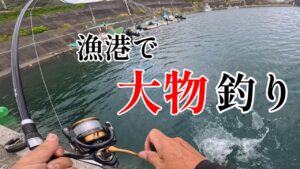 スーパーで買ったアサリで大物釣り！