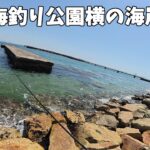 須磨海釣り公園の横の海岸でルアーフィッシングすると・・・