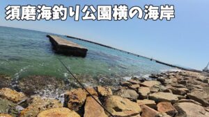 須磨海釣り公園の横の海岸でルアーフィッシングすると・・・