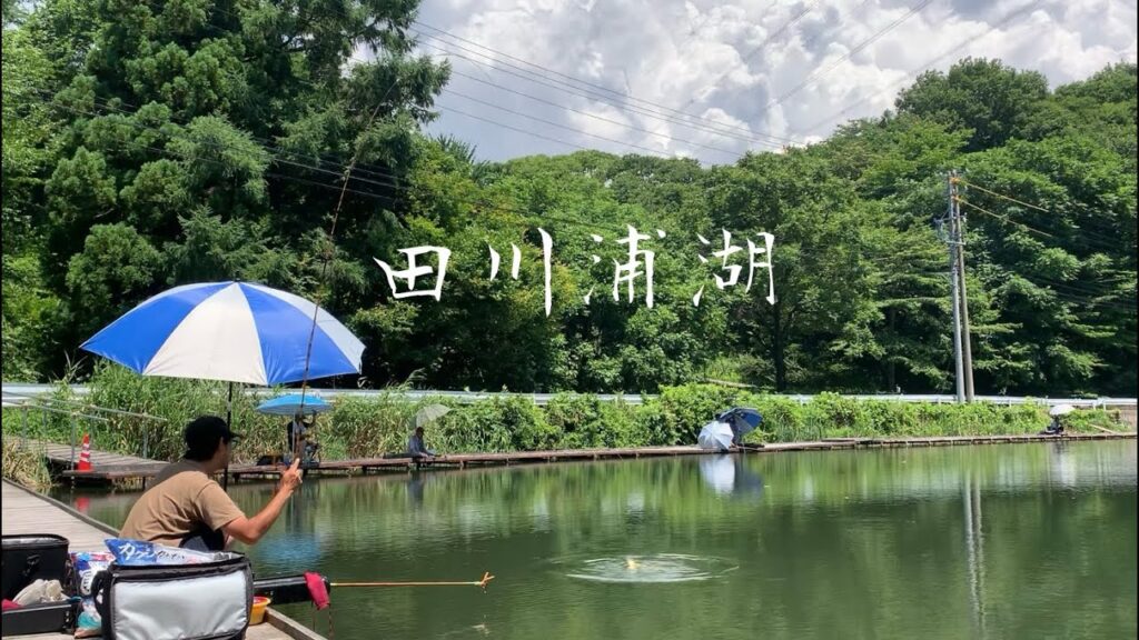 じわじわ行きたくなる田川浦湖の良型が釣りたい！へらぶな釣り