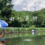 じわじわ行きたくなる田川浦湖の良型が釣りたい！へらぶな釣り