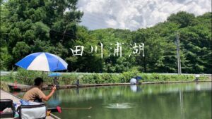 じわじわ行きたくなる田川浦湖の良型が釣りたい！へらぶな釣り