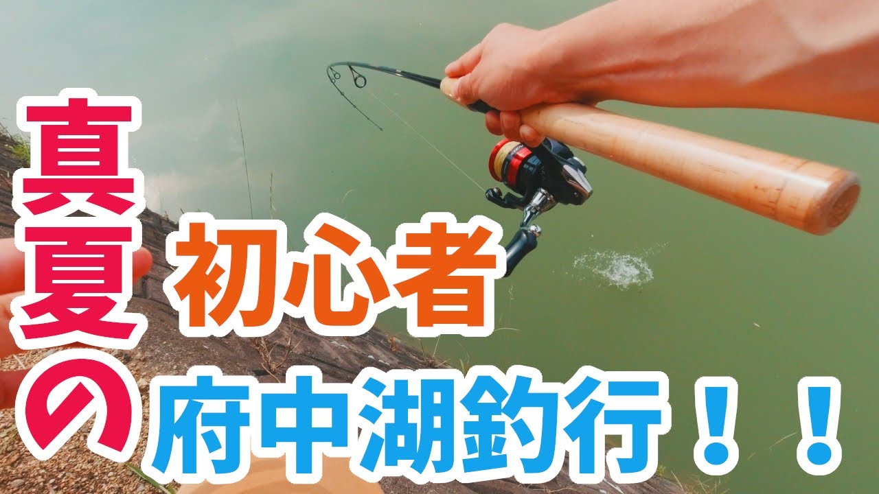 府中湖初心者が半日ネコリグのみで釣り歩く!