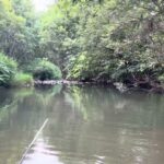 札幌市内の川で川釣り！