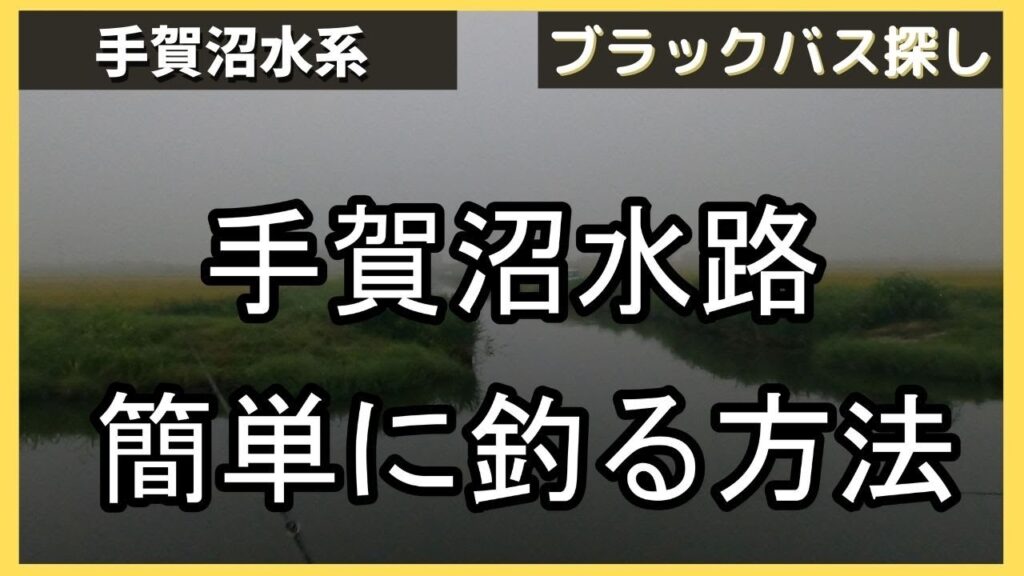 【手賀沼バス釣り】手賀沼で釣れている水路で、釣れる釣り方を実践したらすぐ釣れた