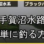 【手賀沼バス釣り】手賀沼で釣れている水路で、釣れる釣り方を実践したらすぐ釣れた