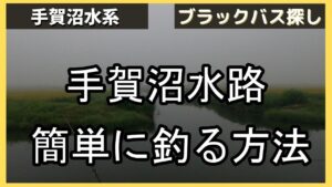 【手賀沼バス釣り】手賀沼で釣れている水路で、釣れる釣り方を実践したらすぐ釣れた