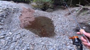 【渓流釣り】取り残されたヤマメを助けたい