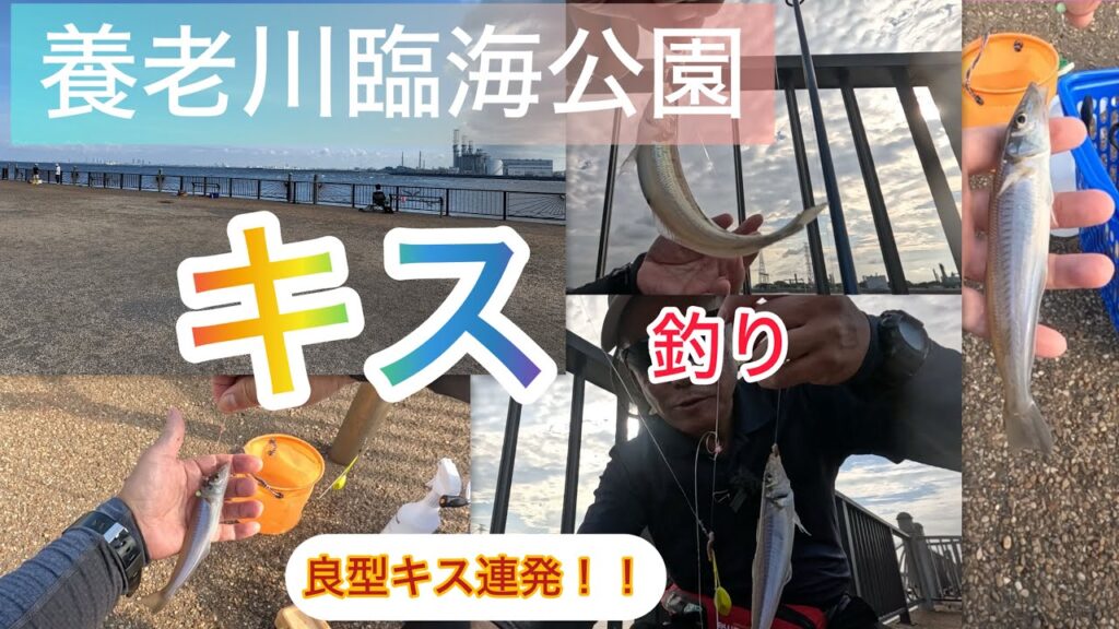 養老川臨海公園キス釣り！予想意外に釣れてビックリ！！