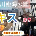 養老川臨海公園キス釣り！予想意外に釣れてビックリ！！