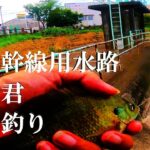 【砂沼、左岸幹線用水路、ウキ釣り】【利根川＆荒川水系、バス釣り、コイ、雷魚、ナマズ釣り、フィシング、シーバス釣り、埼玉釣り、関東釣り、東京釣り、茨城釣り、下妻市砂沼新田エリア】