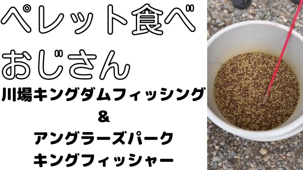 管理釣り場の魚のエサをレビュー！ペレット食べおじさんが唸る！