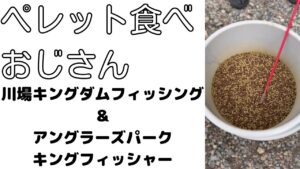 管理釣り場の魚のエサをレビュー！ペレット食べおじさんが唸る！