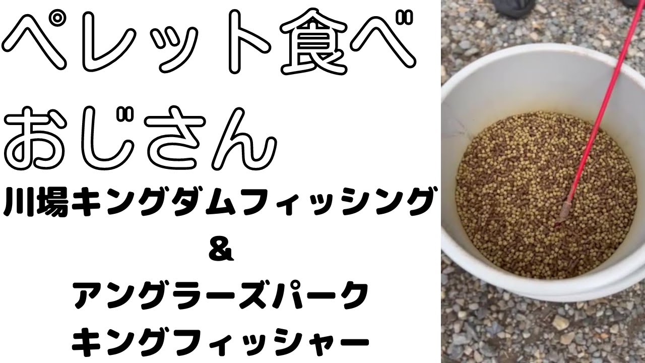 管理釣り場の魚のエサをレビュー!ペレット食べおじさんが唸る!