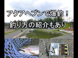 ４月に滋賀県の管理釣り場アクアヘブンで爆釣！釣り方の紹介もあります