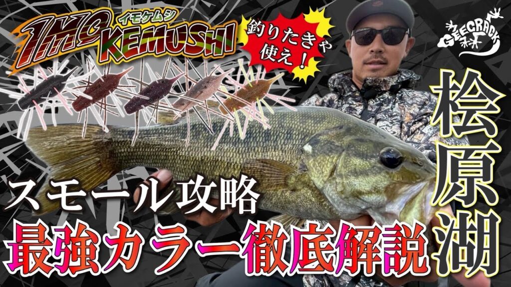 【バス釣り】桧原湖スモール攻略！イモケムシ最強カラーを徹底解説！