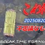 【相模川】これ何？不思議なものがありました。＆本日の状況です。