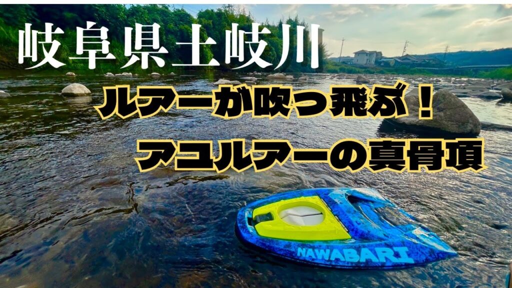 【アユルアー】良型鮎連発‼️岐阜県土岐川