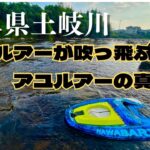 【アユルアー】良型鮎連発‼️岐阜県土岐川