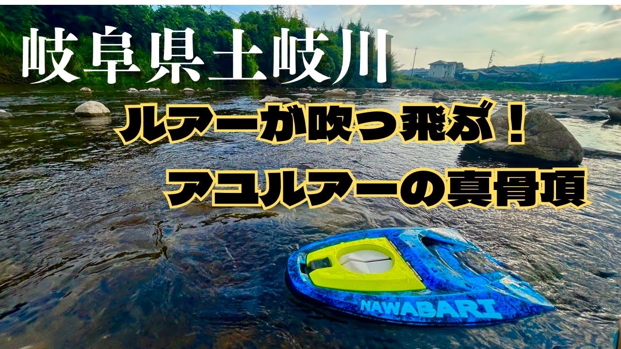 【アユルアー】良型鮎連発‼️岐阜県土岐川