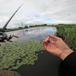 【城沼・多々良川】初夏の沼バス　館林沼巡り編